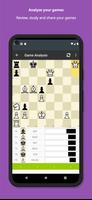 Rival Chess скриншот 2