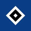 Hamburger SV icon