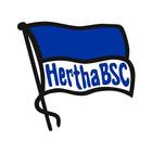 ikon Hertha BSC
