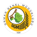 OGM Drive