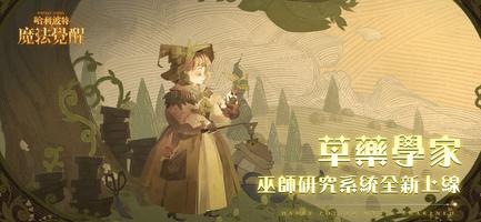 哈利波特：魔法覺醒 Affiche