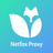 APK Netfox Proxy