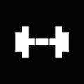 ”NetGym