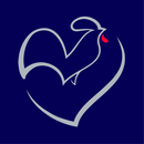 France Channel APK