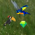Rodeo Bird