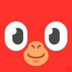 YKS, TYT & AYT: Netify icon