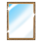 Phone Mirror app - True Mirror icon