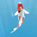 Koi  - Aquarium APK