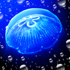 ikon Jellyfish