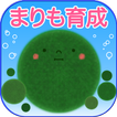 どこでもまりも育成