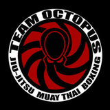 Team Octopus icône