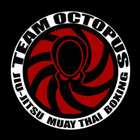 Team Octopus ไอคอน