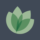 hudetz. training & therapie APK