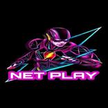 NETPLAY VPN