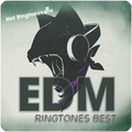 EDM Ringtones Best
