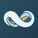 NetSuite APK