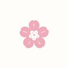 SAKURA VPN icon