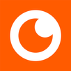 NetSee APK