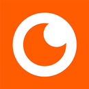 NetSee APK