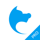 Tincat Browser Pro: M3U8 Video APK