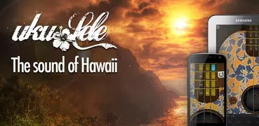 Ukulele Hawaiian Guitar - 四弦琴