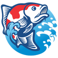 Liga Koi Indonesia