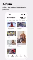 Netvue Next Screenshot 2
