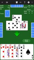 29 Card Game - Expert AI poster