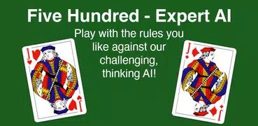 Five Hundred (500) - Expert AI