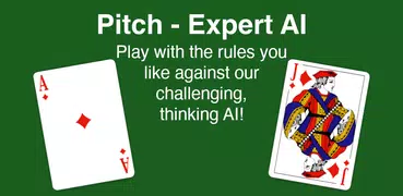 Pitch - Expert AI