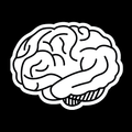NeuroICH™