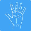 Palm Reader