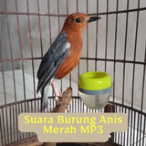 Suara Burung Anis Merah MP3 иконка