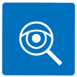 ip info detective