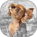 Sketch Background Maker APK