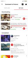 Video Downloader for Pinterest স্ক্রিনশট 2