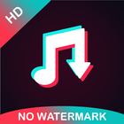 Downloader for TikTok icono