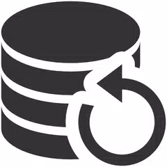 Application Backup Pro APK download