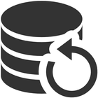 Application Backup Pro icono