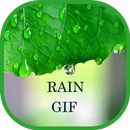 Rain Drop Live Wallpapers GIF APK