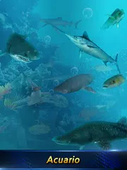 Descargar XAPK de Monster Fishing 2025