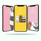 Cute Bear Wallpapers icône