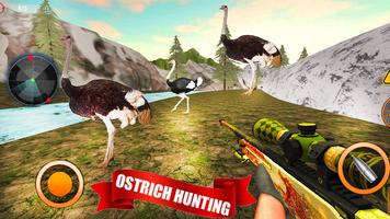 Wild Bird Ostrich Hunting 3D Affiche