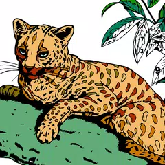 Animals Paint by Number Book Icon
