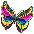 Butterfly CBN