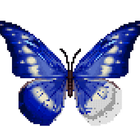 Butterfly Pixel Art icône