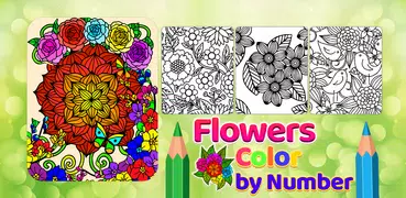 Flowers Color by Number