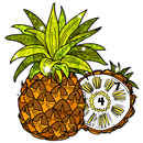 Fruits Color by Number Book APK