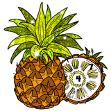 Fruits Color by Number Book biểu tượng