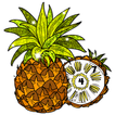 Fruits Color by Number Book